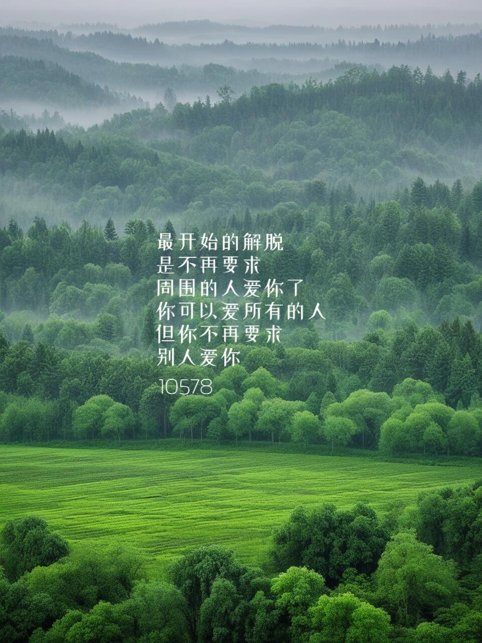 46962487a33360f2d0e2148ec49f8871.jpg