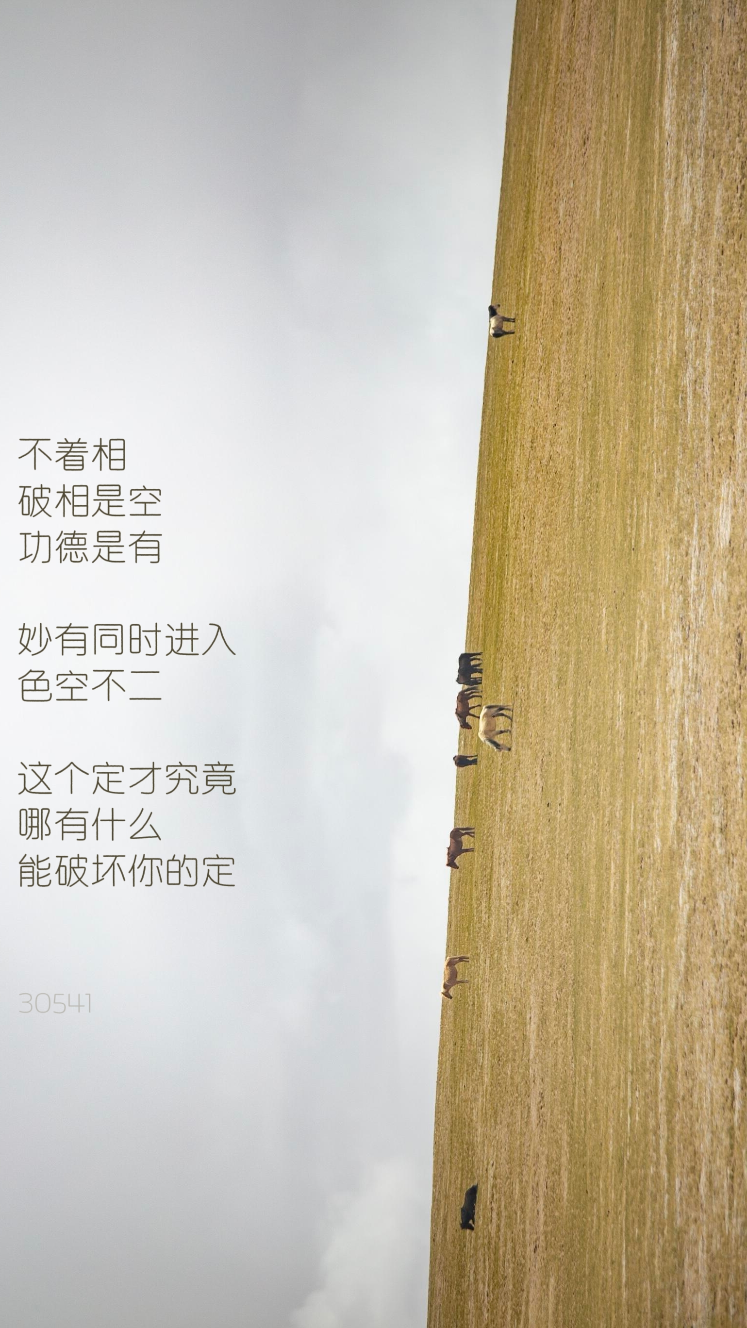 43327ababe180ee7e98c50a90a77cfb6.jpg
